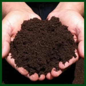 আগমনী ভার্মি কম্পোস্ট ১ কেজি – Vermi Compost 1KG