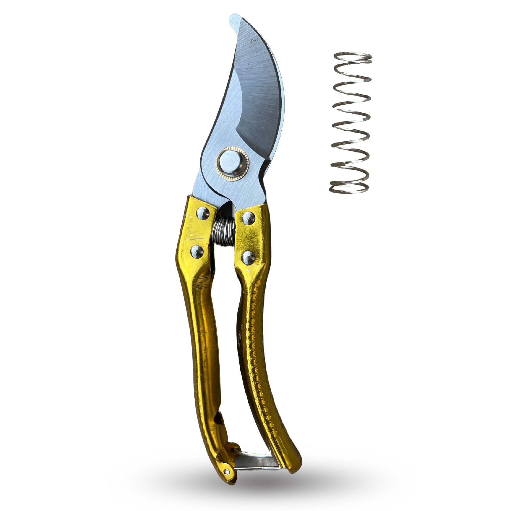 Secateur (Pruning Cutter) – সিকেচার (প্রুনিং কাটার)